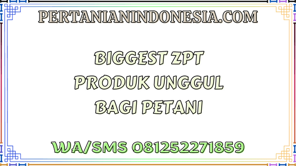 Biggest ZPT Produk Unggul Bagi Petani